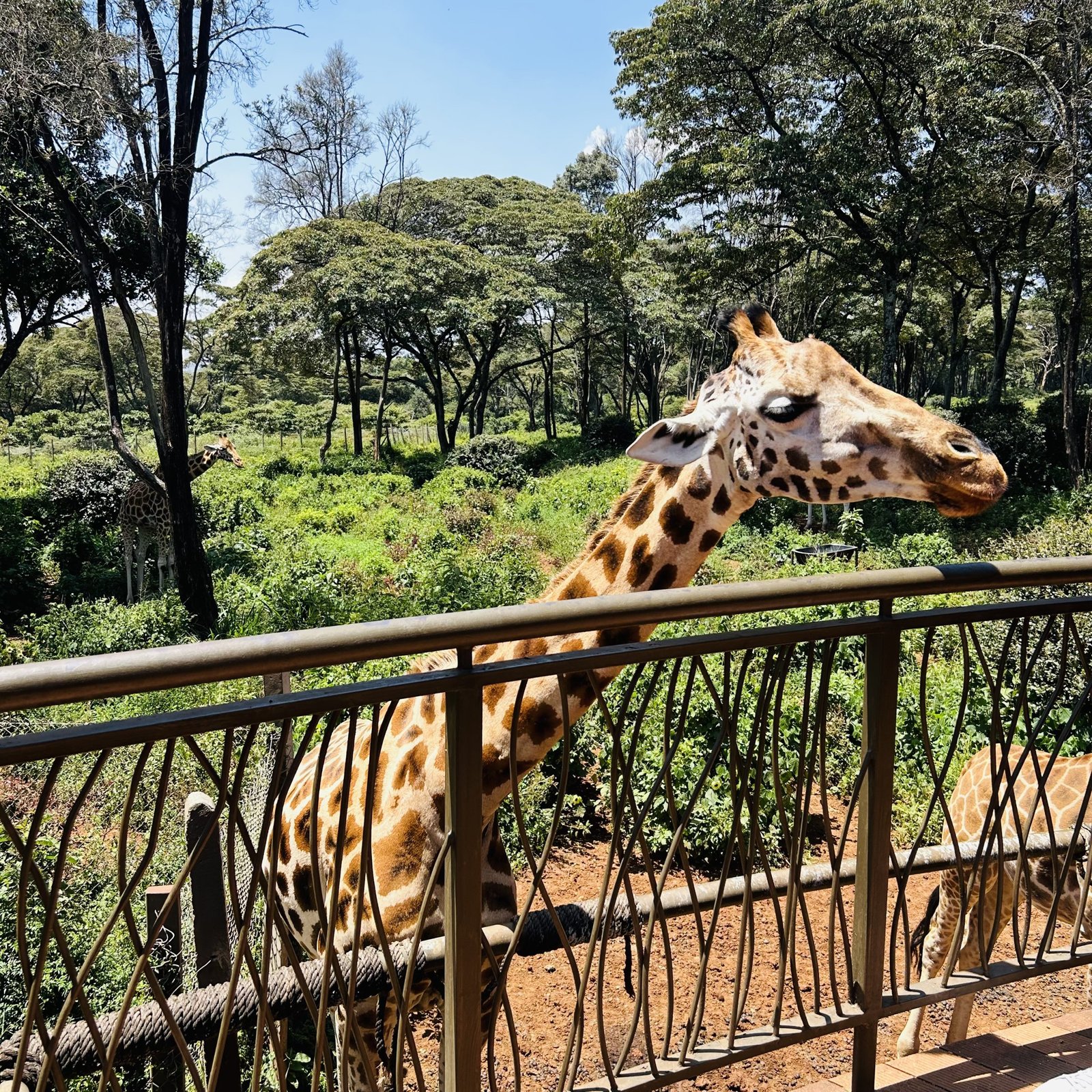 (Upload-from-mobile-1771911405)IMG_4268