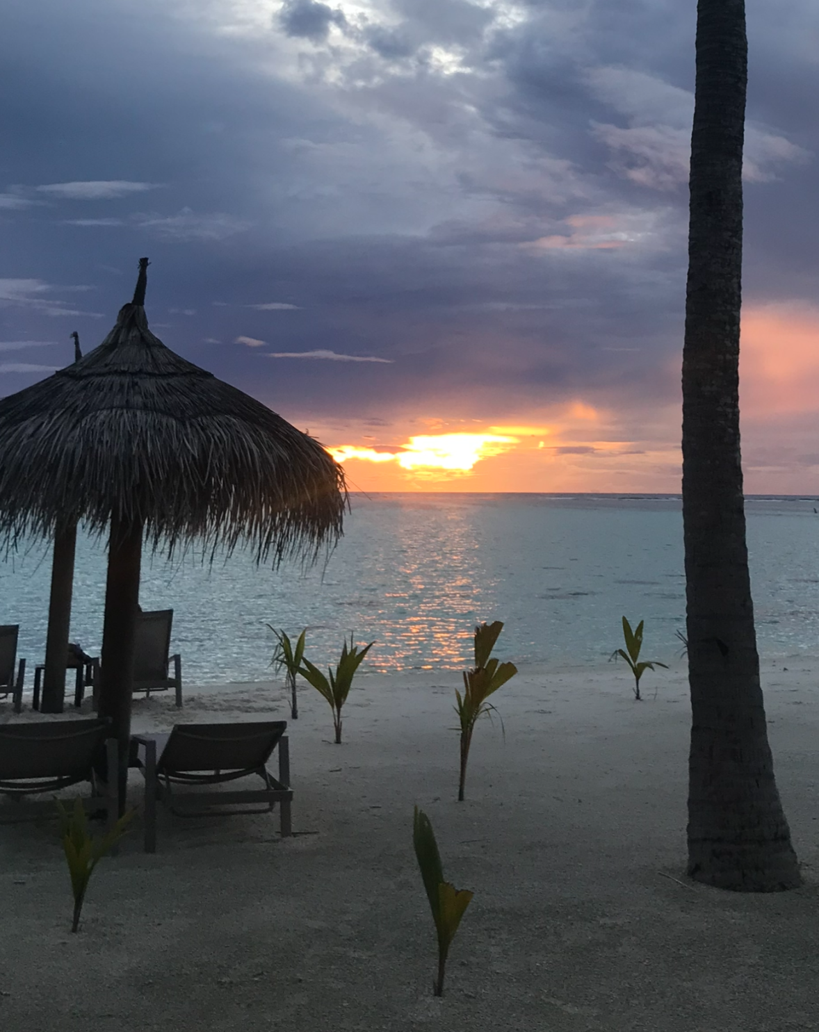 (Upload-from-mobile-1771911648)IMG_9646